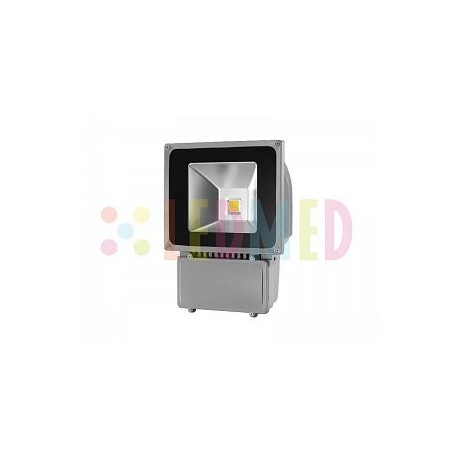 Led reflektor 100W 1COB IP65 multichip Panlux