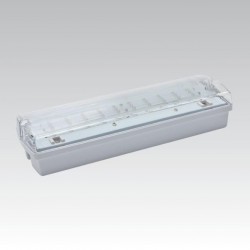 Nouzové svítidlo LED CARLA 30 LED 6h TP IP65 NBB NARVA