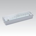 Nouzové svítidlo LED CARLA 30 LED 6h TP IP65 NBB NARVA