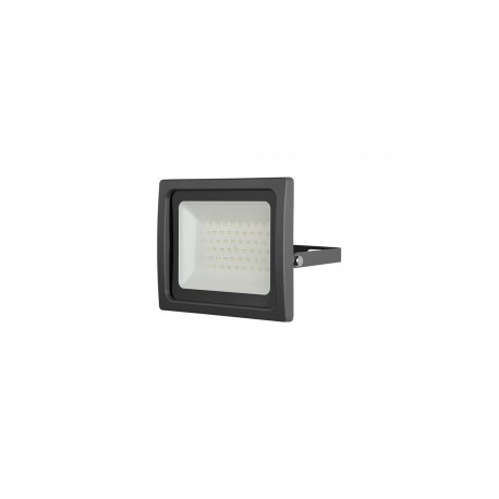 Panlux  LEDMED VANA SMD LED reflektor 50W