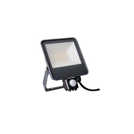 LED reflektor s čidlem IQ-LED FL-30W-NW-SE (33887)