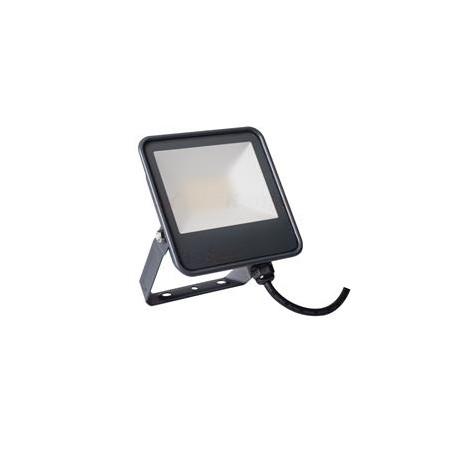 LED reflektor Kanlux IQ-LED FL-30W-NW (33882)