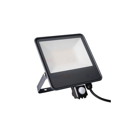 LED feflektor s čidlem Kanlux IQ-LED FL-50W-NW-SE (33888)